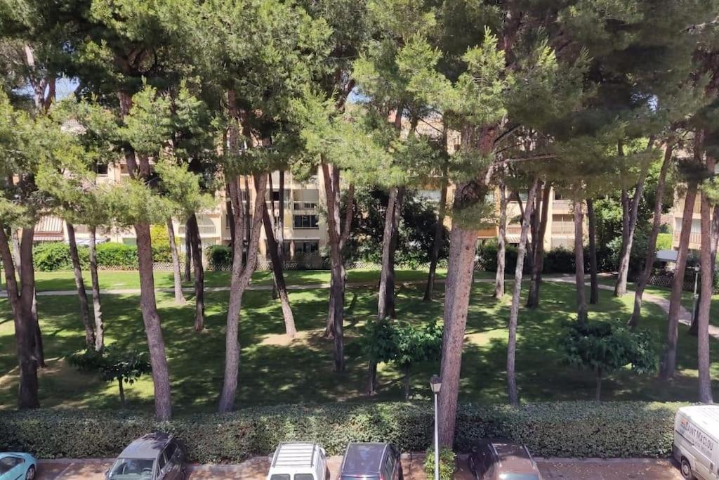Bel Appartement Avec Piscine Proche Des Plages Six-Fours-les-Plages Exterior foto